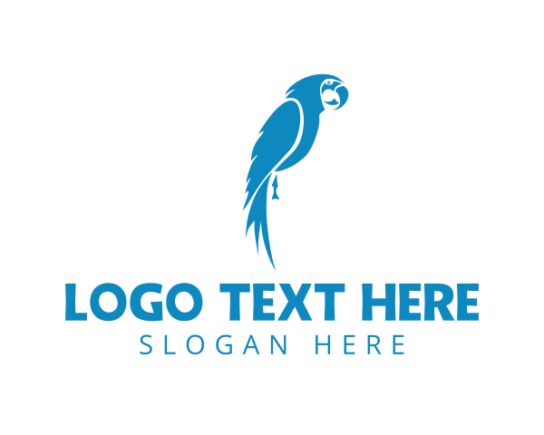 Tropical Blue Macaw